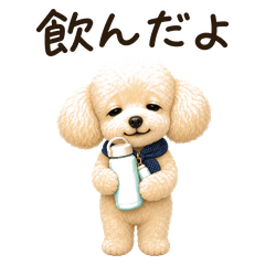 Lunch Vending Toy Poodle Hydration