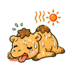 流汗的駱駝 LBR
