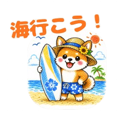 Cozy Shiba: Summer Fun