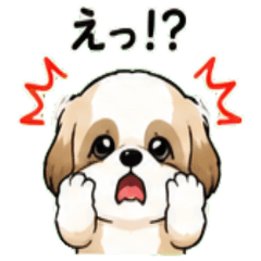 Shih Tzu Janapnese Greeting 01