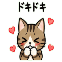 Brown Tabby Janapnese Greeting 01