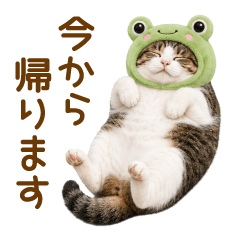 Kijisiro(Family Communication)