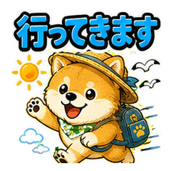 Shiba Inu in a straw hat