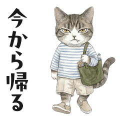 Fashionable Silver tabby Cat Vol.1