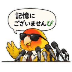 Piyomaru's Comical Parakeet Reactions