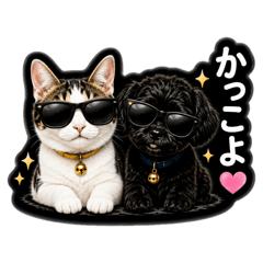 Lonely Dog & Cat Part 2