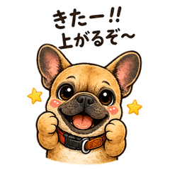 Bullish Frenchie Investor