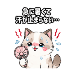 Heart cheek_20260630224757
