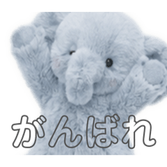 yurudoku_20260623182902