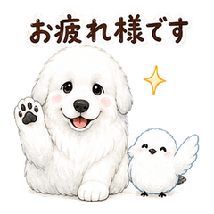 Great Pyrenees and Shimaenaga Keigo