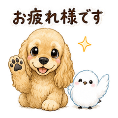 Cocker Spaniel and Shimaenaga Keigo