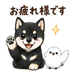 Kuro Shiba and Shimaenaga Keigo Stickers