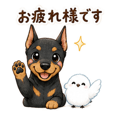 Doberman and Shimaenaga Keigo Stickers
