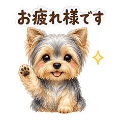 Yorkshire Terrier Business Keigo