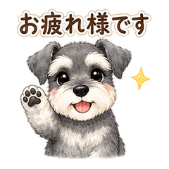 Miniature Schnauzer Business Keigo