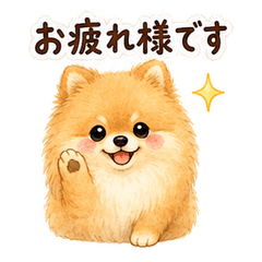 Pomeranian Business Keigo Stickers