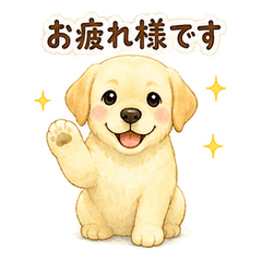 Labrador Retriever Business Keigo