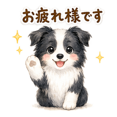 Border Collie Business Keigo Stickers