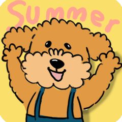 【プードル】動く！夏のごあいさつ