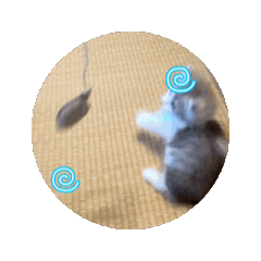meimei_20260701124407