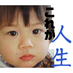 siso_20260625022826