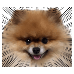 tdousyo_20260625022549