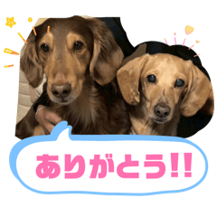 suzu_20260625022648
