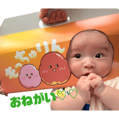 miya_20260625030734