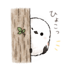 SAKU_20260625053447
