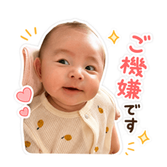 shiho_20260625070050