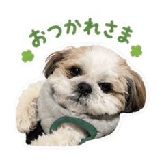 KEN_20260625075955
