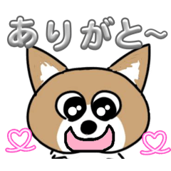 柴ミックス犬リアクション多め