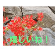 life and nature