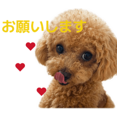 aaa_20260626094120
