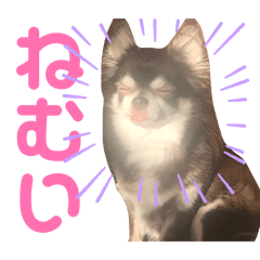 sayachi_20260626094946