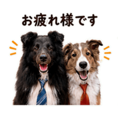 MOMO_20260626100426