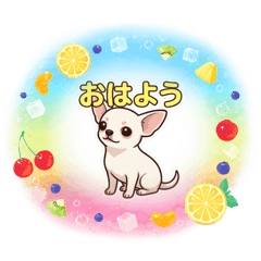 kyo_20260626110746