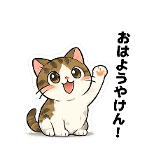 taka_20260626110950