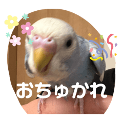 fukurin2