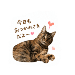 Ai_20260626121147