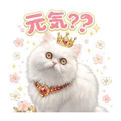 Ponzmama_20260626122805