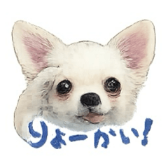 sei_20260626125835