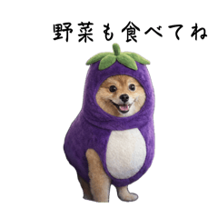 eitoman_20260626133416