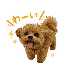 Toki_20260626150438