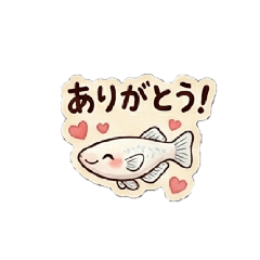 huwahuwayouhei_20260625141051