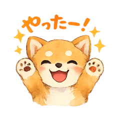 tomo_20260625143813