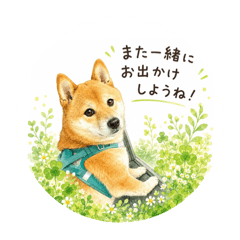 mayu_20260625183326