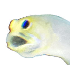 Udonko_20260626171728