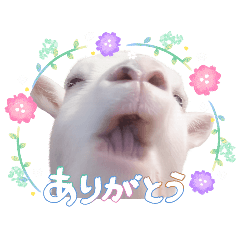 aoi_20260626172826