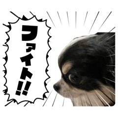 Chibitakun &Jiro kun